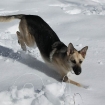2010-02-11 (012)
